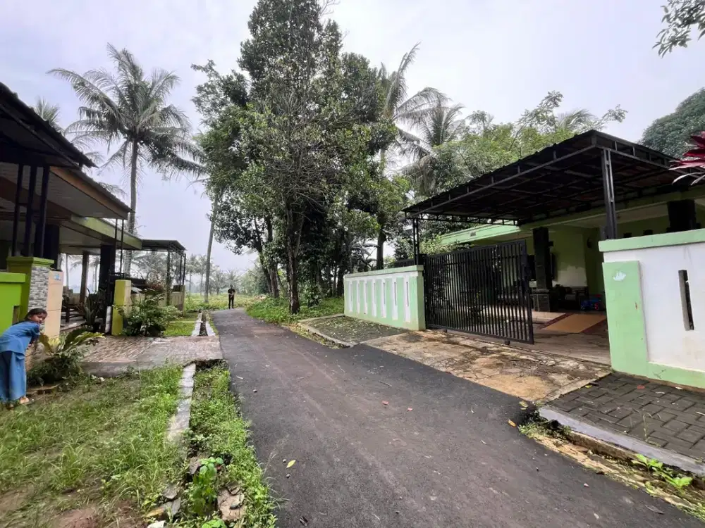 Dijual Tanah Kavling Murah Sindang Jaya - Mulai 700 ribuan permeter