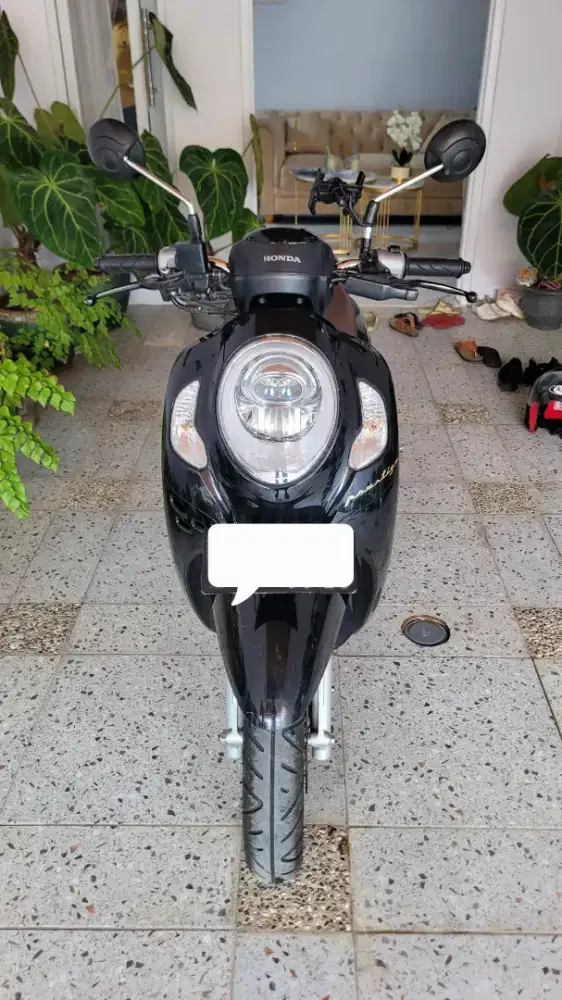 Honda Scoopy Prestige