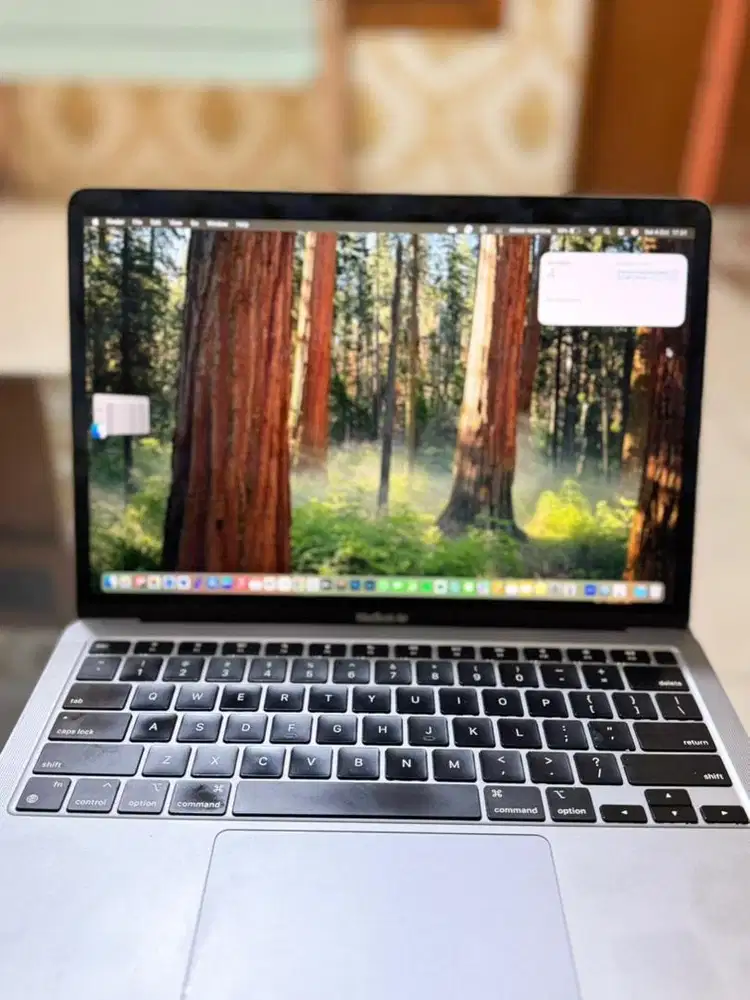 MacBook Air M1 2020 13-inch • RAM 8/256GB • CC 306 • OS Sequoia