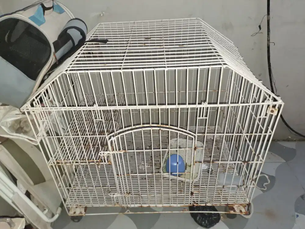 Kandang hewan kucing anjing reptil