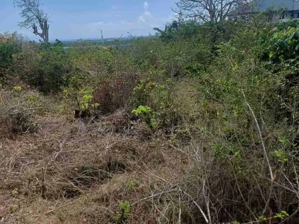 dijual tanah ocean view kawasan gedong sari nusa Dua Badung Bali
