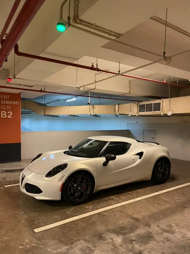 Alfa Romeo 4C (Ultra Rare Super Car)