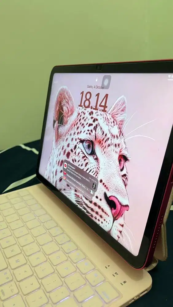 Ipad Gen 10 64Gb Pink (Wifi)