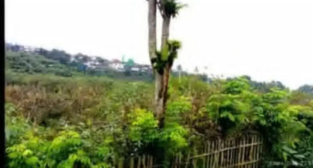 Jual tanah Tulungrejo batu malang