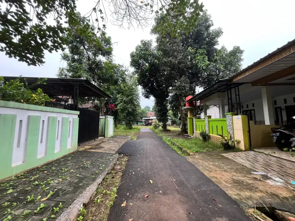Tanah kavling Sindangjaya harga dibawah 1jtan