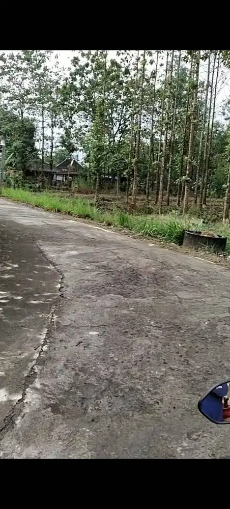 Tanah Pekarangan