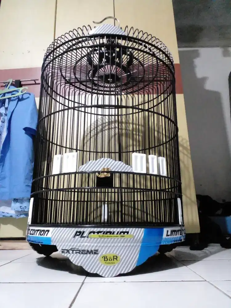 Sangkar burung Murai No2 hairbrush gress