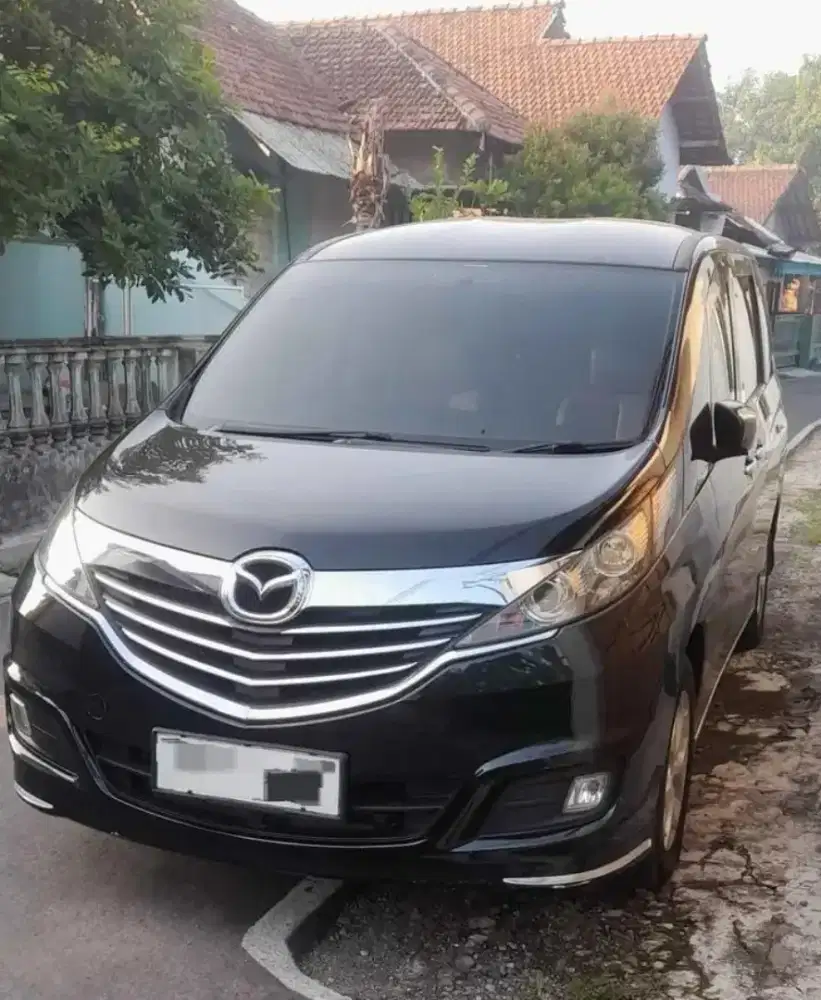 2014 Mazda Biante