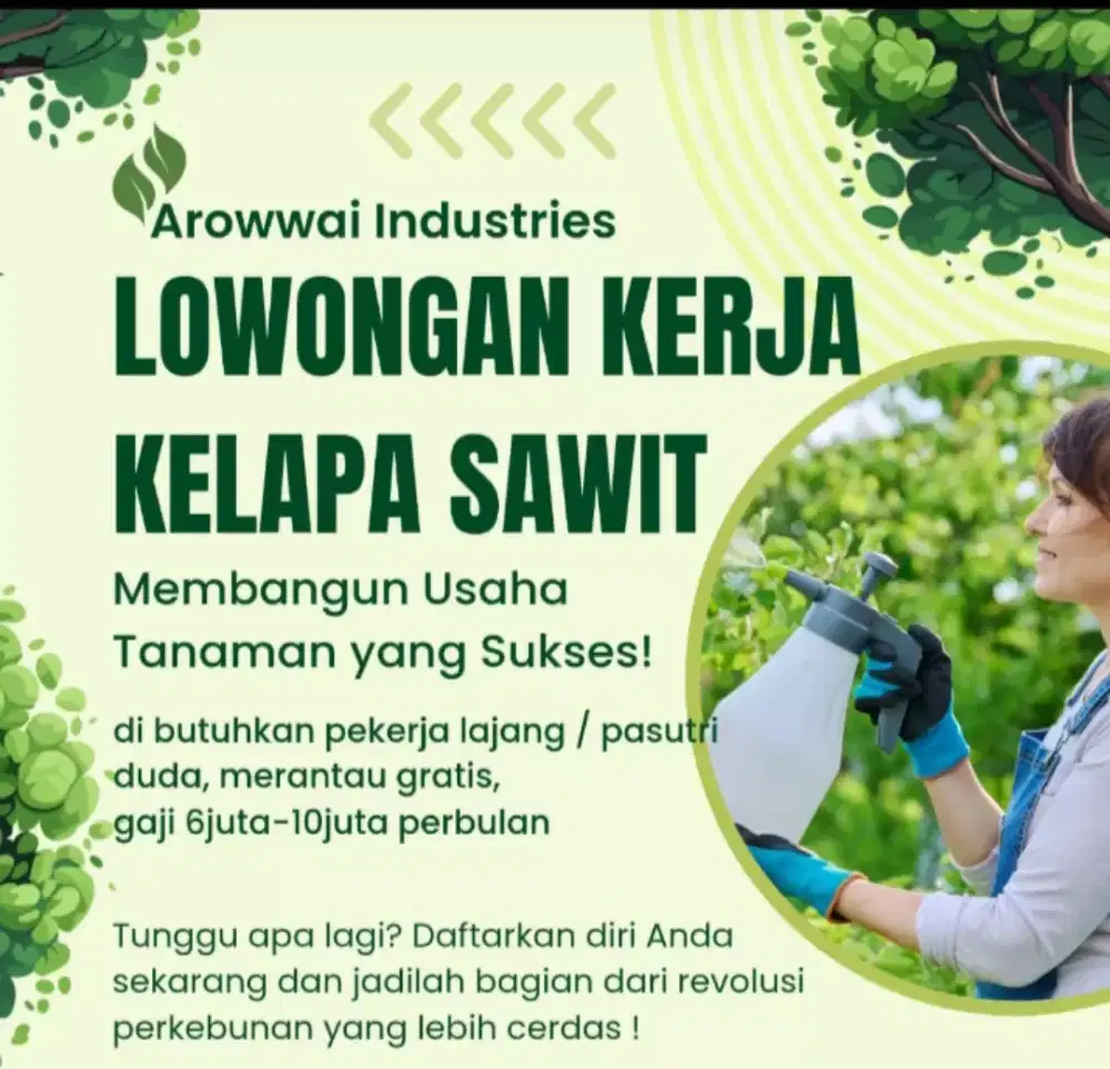 Lowongan pekerjaan kelapa sawit.bagian perawatan dan panen