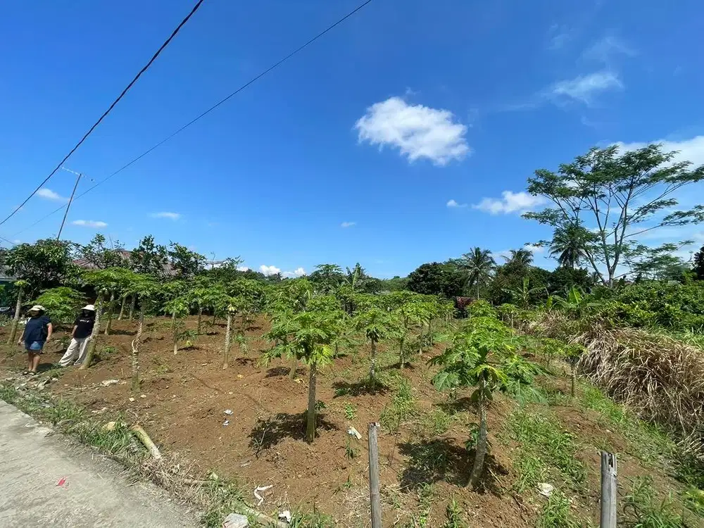 Dijual cepat tanah di parungkuda, sukabumi