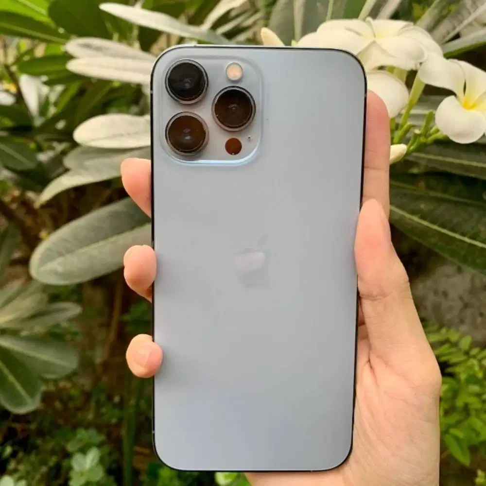 IPhone 13 Pro 256GB WIfi Only Iremoval