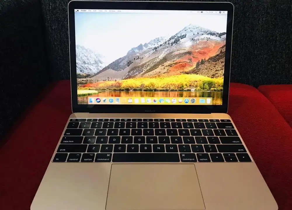 Macbook Retina 12” 2017 (GOLD)