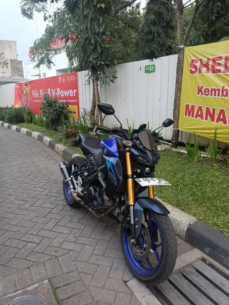 YAMAHA MT 15 2024