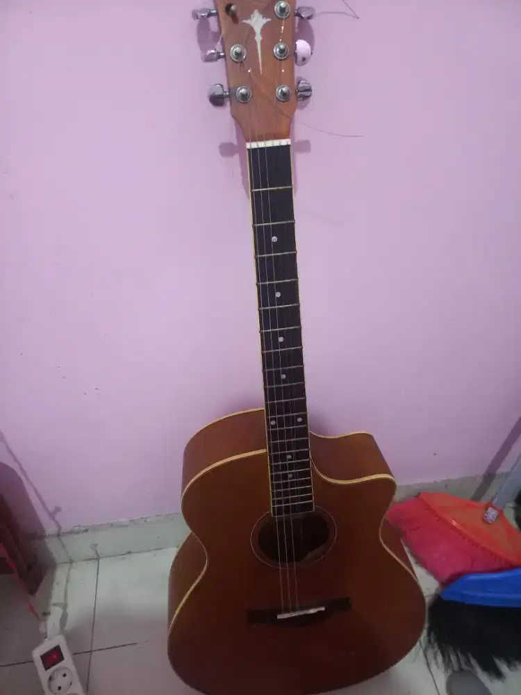 Gitar custom taylor