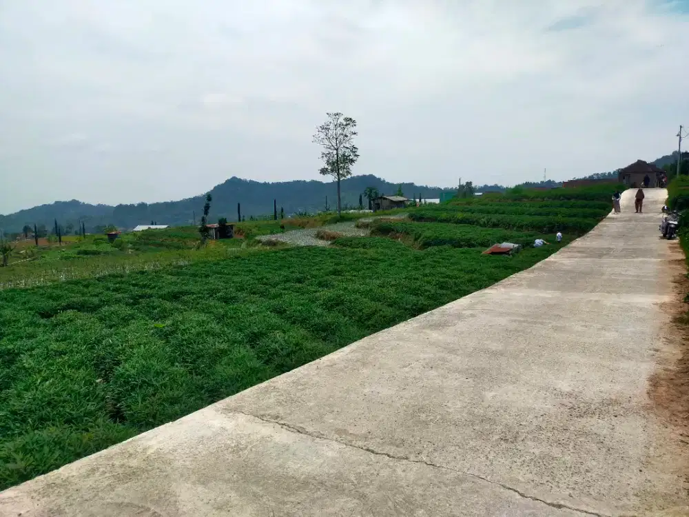 Tanah 1.049 m2 Tawangmangu View Cantik
