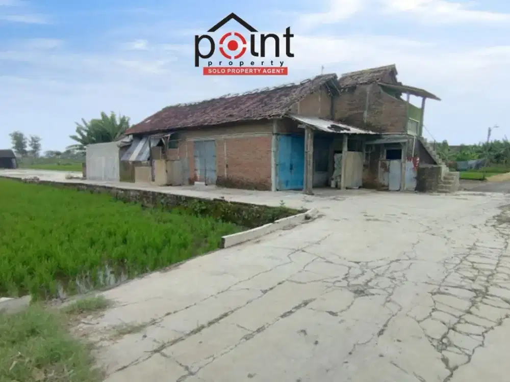 Ruang Usaha Pengupas Kulit Bijih Padi/ Rice Mill Atau Selepan