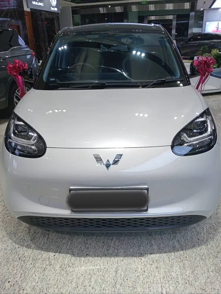 Binguo EV lite 2025