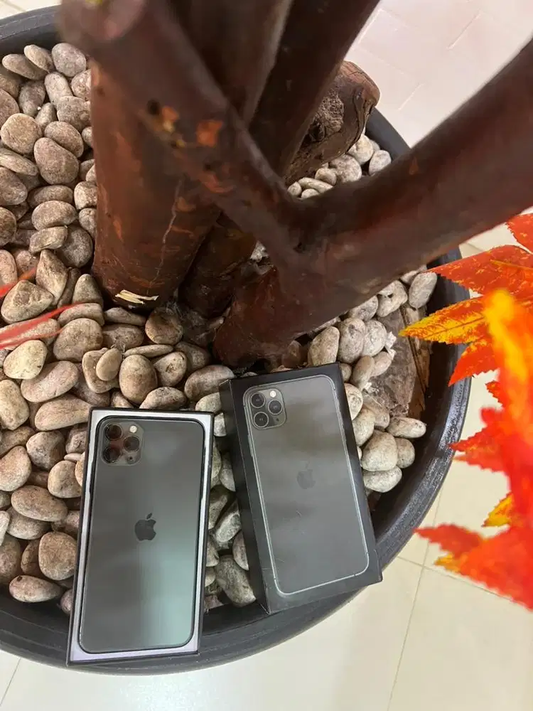 iphone 11 pro max 256gb proces new