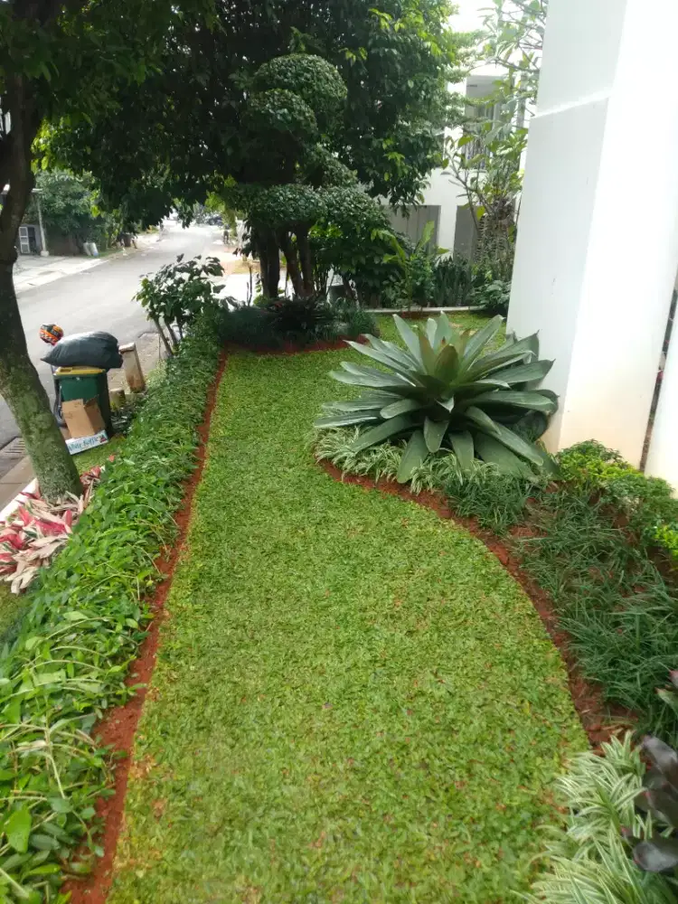 Jasa perawatan tanaman