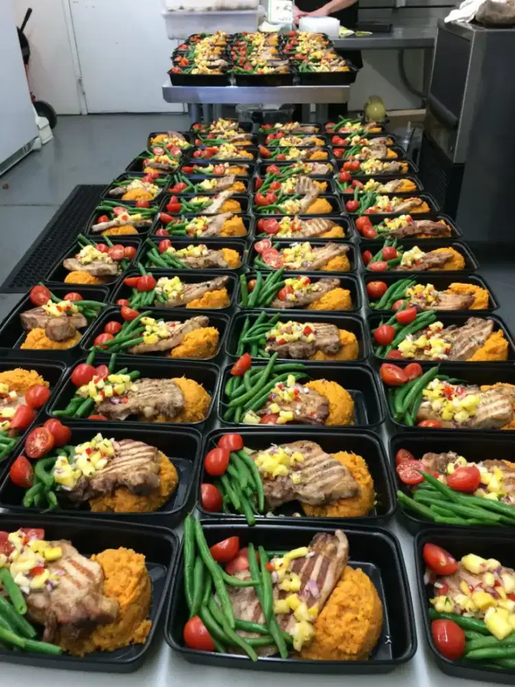 Catering sehat premium