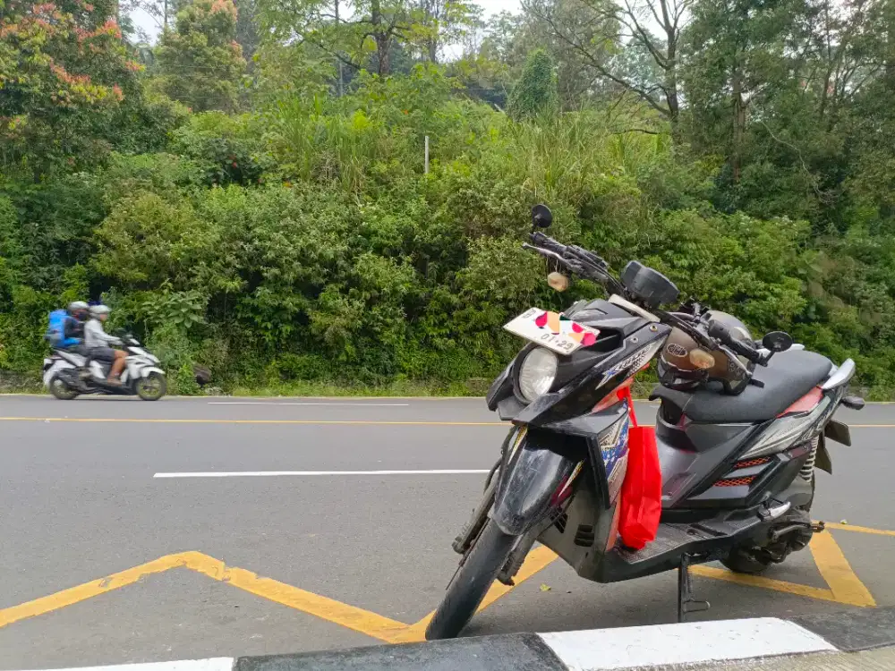 Yamaha xride 2014