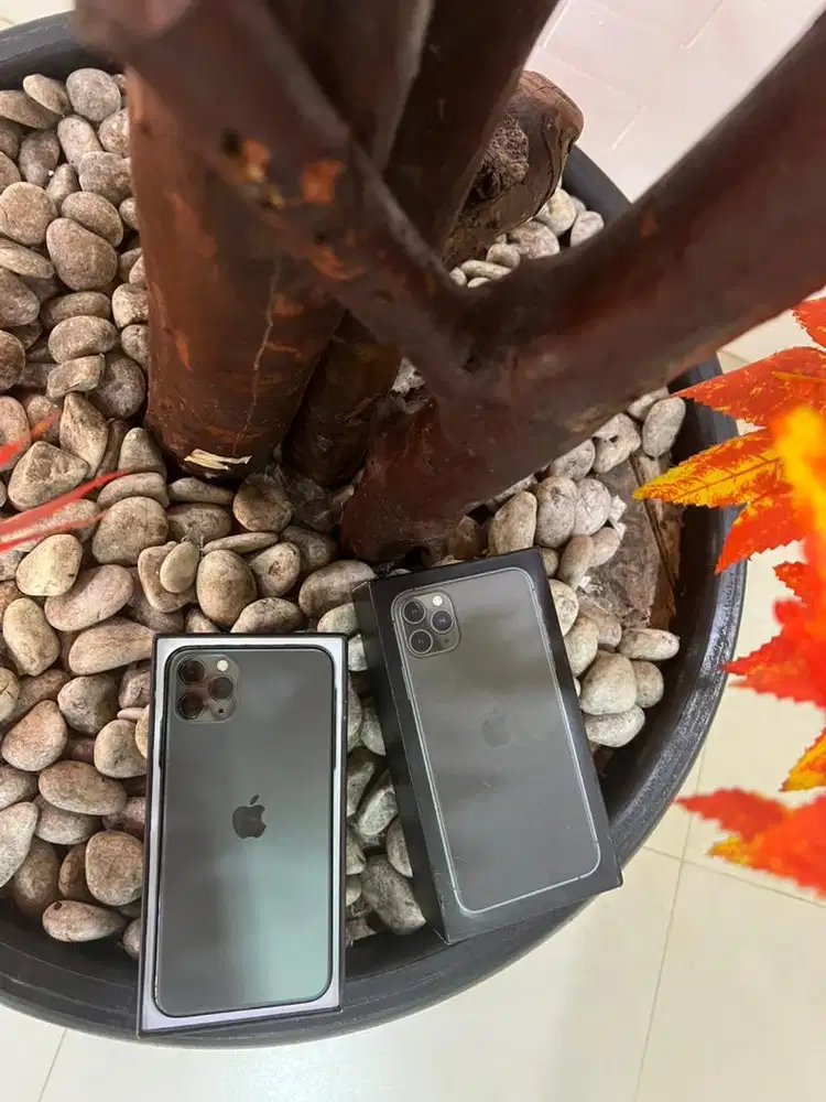 iphone 11 pro max 256gb pembeli baru