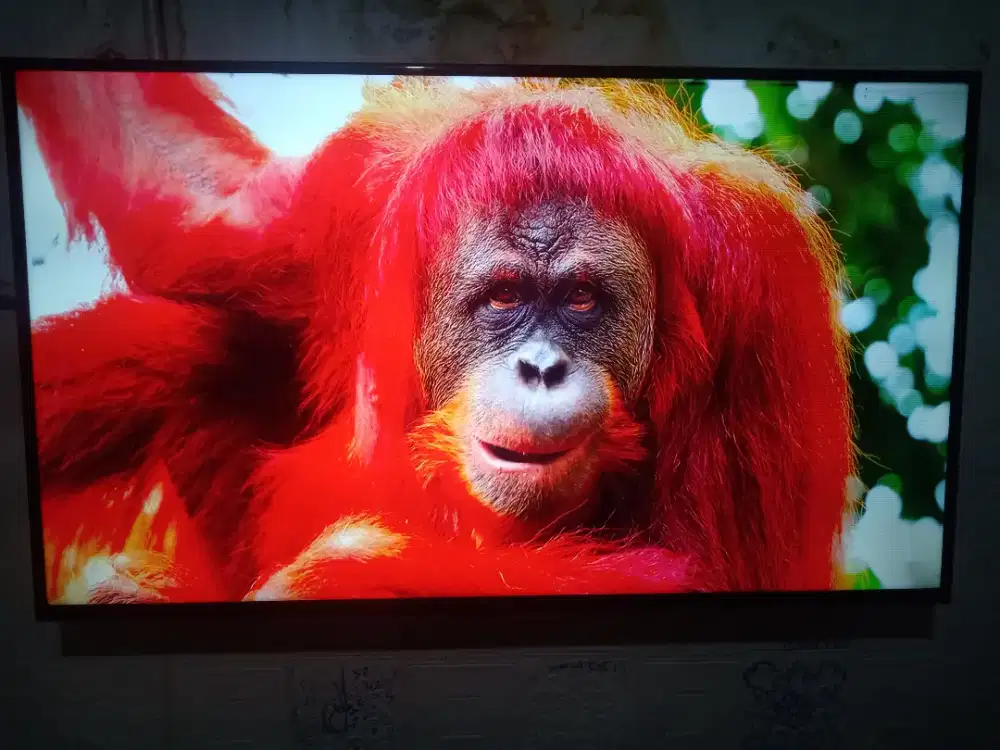 Xiaomi TV ANDROID 55