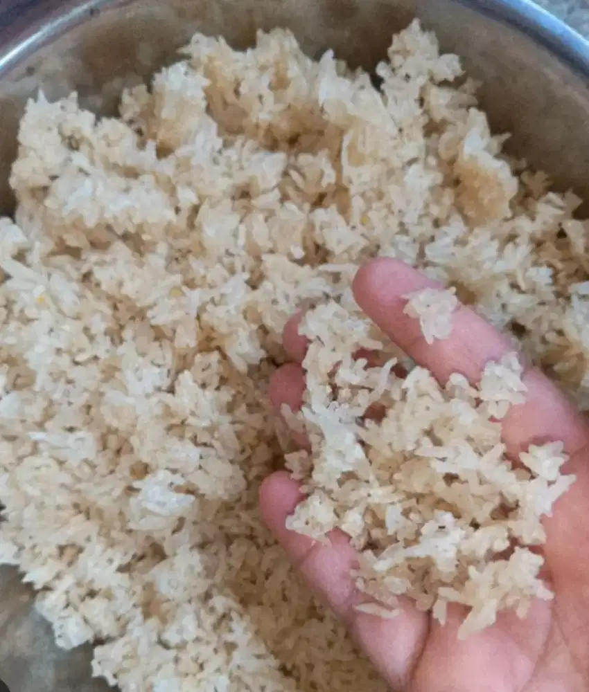 Beli kerak nasi aking