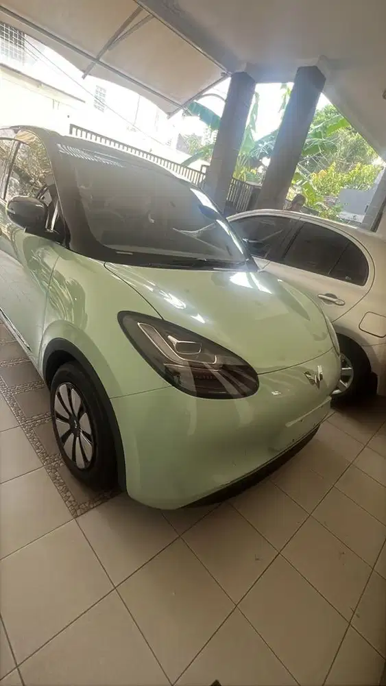 Binguo EV Pro 2025