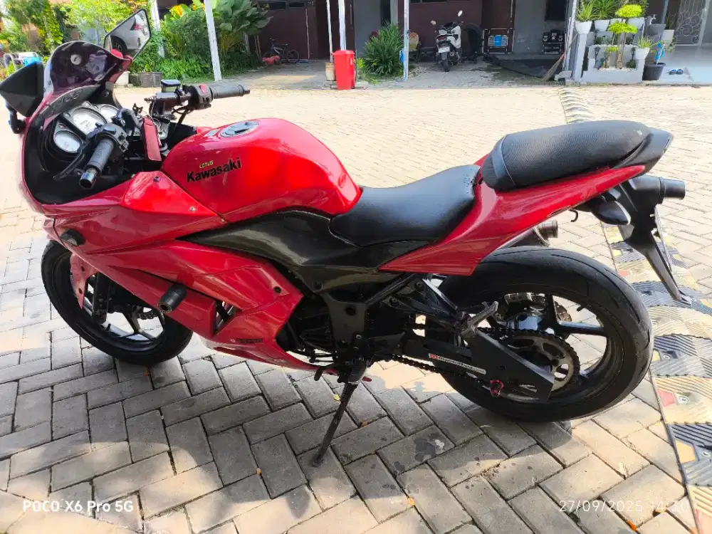 Ninbu merah 2010