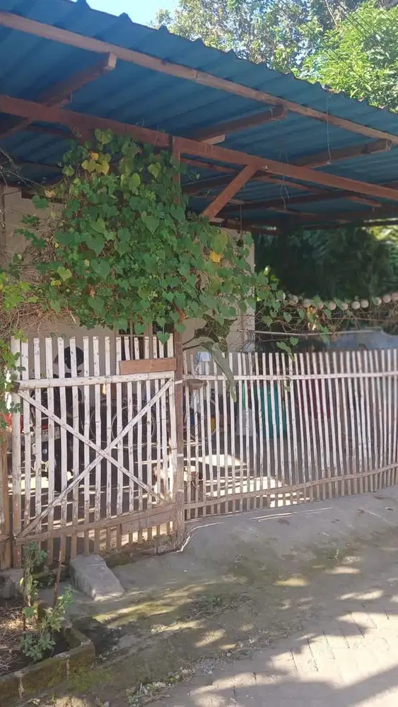 dijual cepat rumah di brajan kasihan bantul