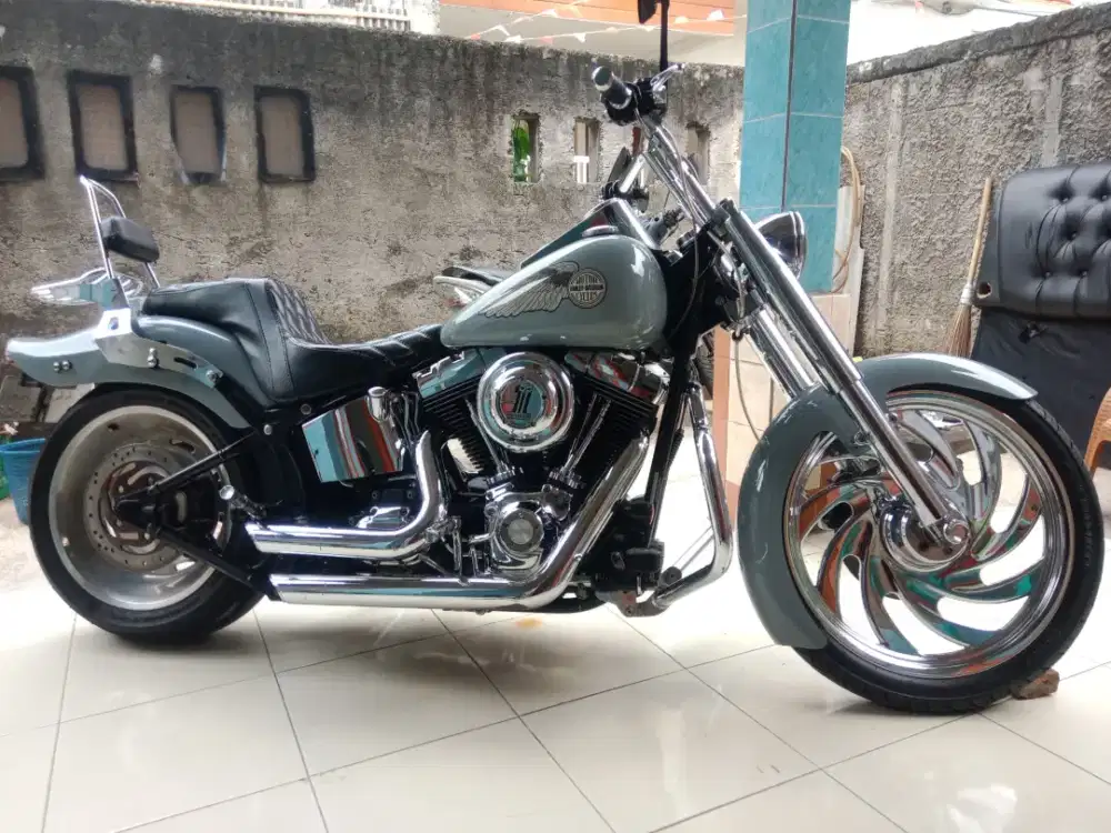 Harley Davidson softail custom