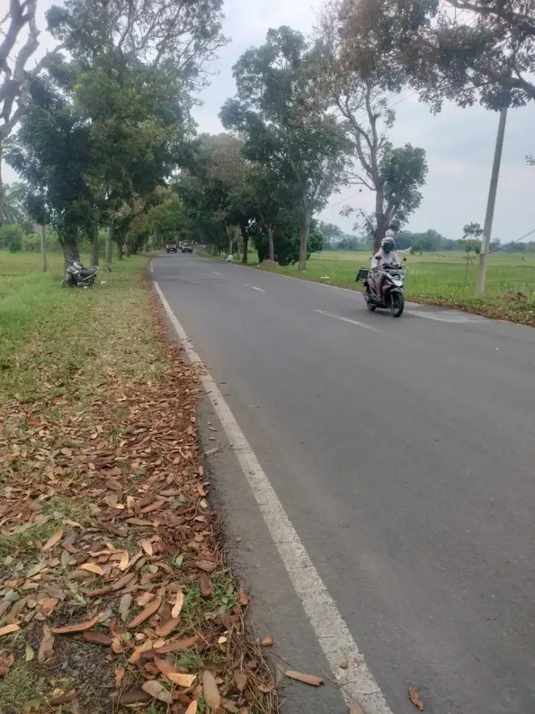 Tanah di jual murah lokasi depan jl raya Cipanas luas tanah 6000 mtr