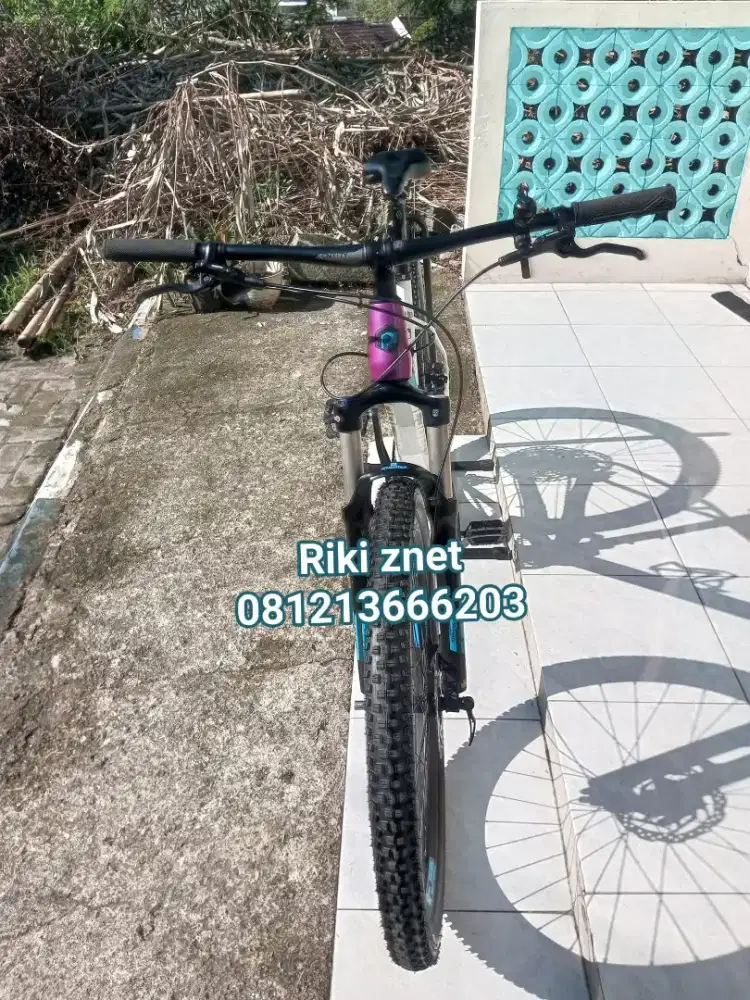 Polygon xtrada 7 2023