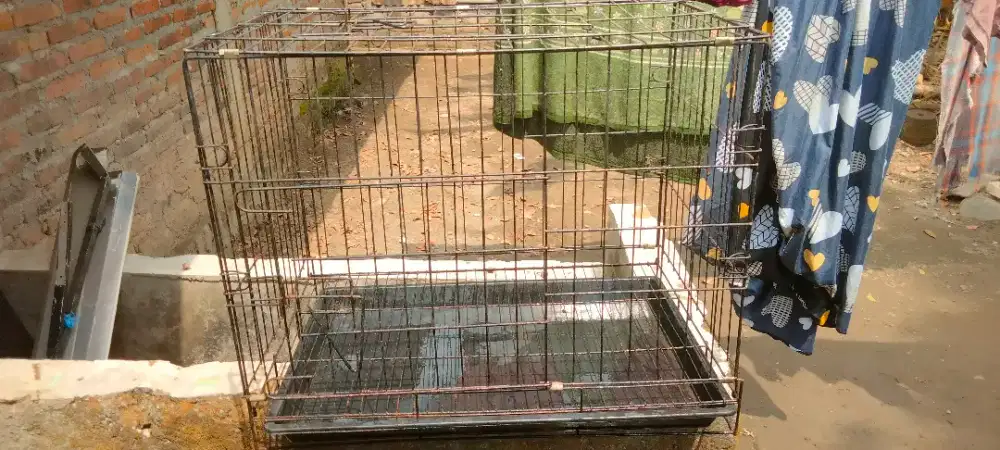 Kandang kucing ukuran sedang