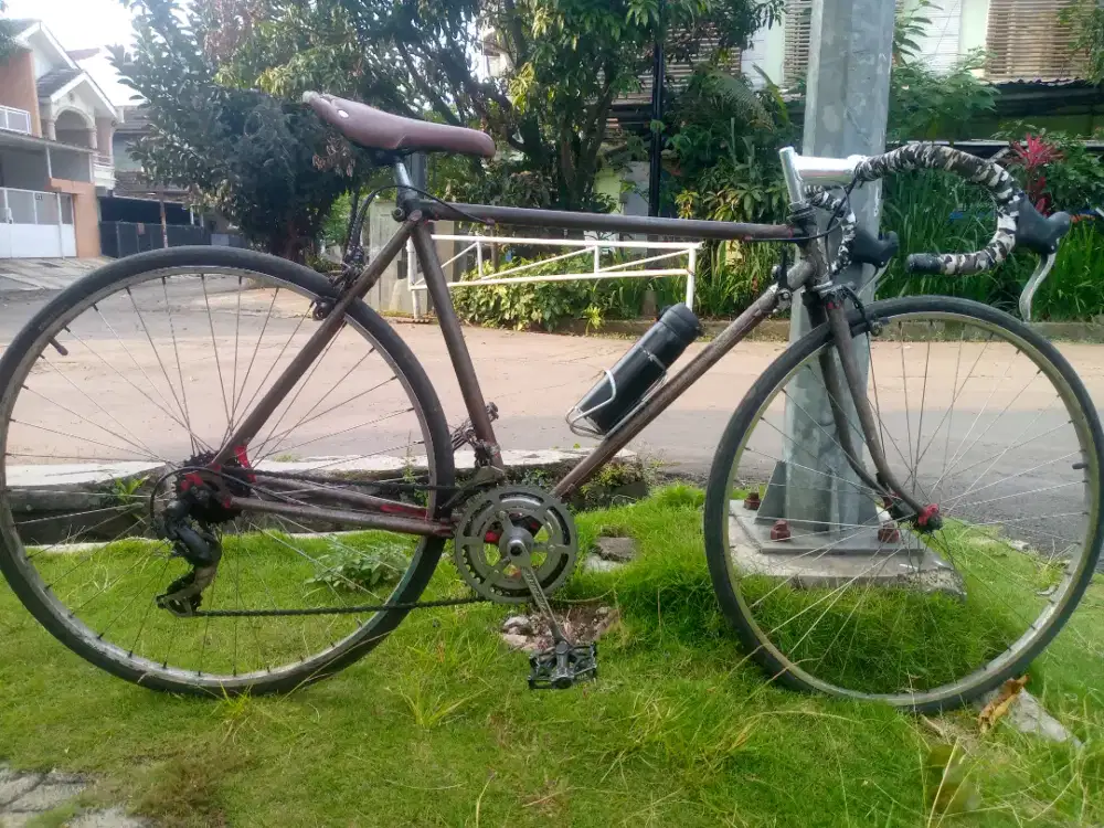 Roadbike phoenix
