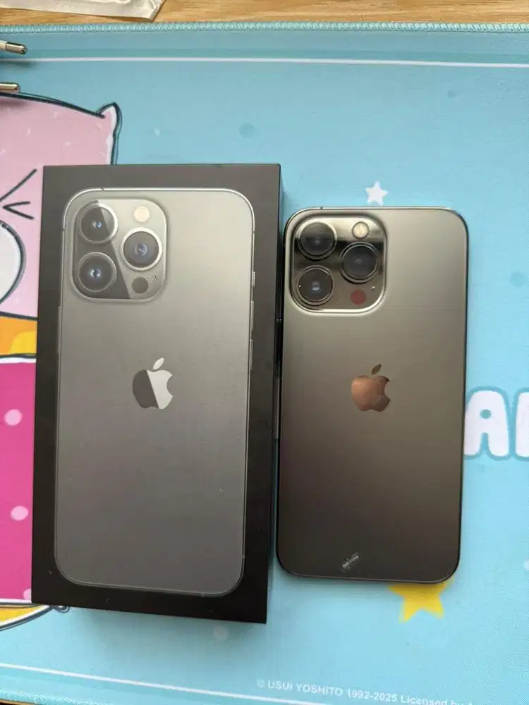 Iphone 13 pro 256 ex ibox