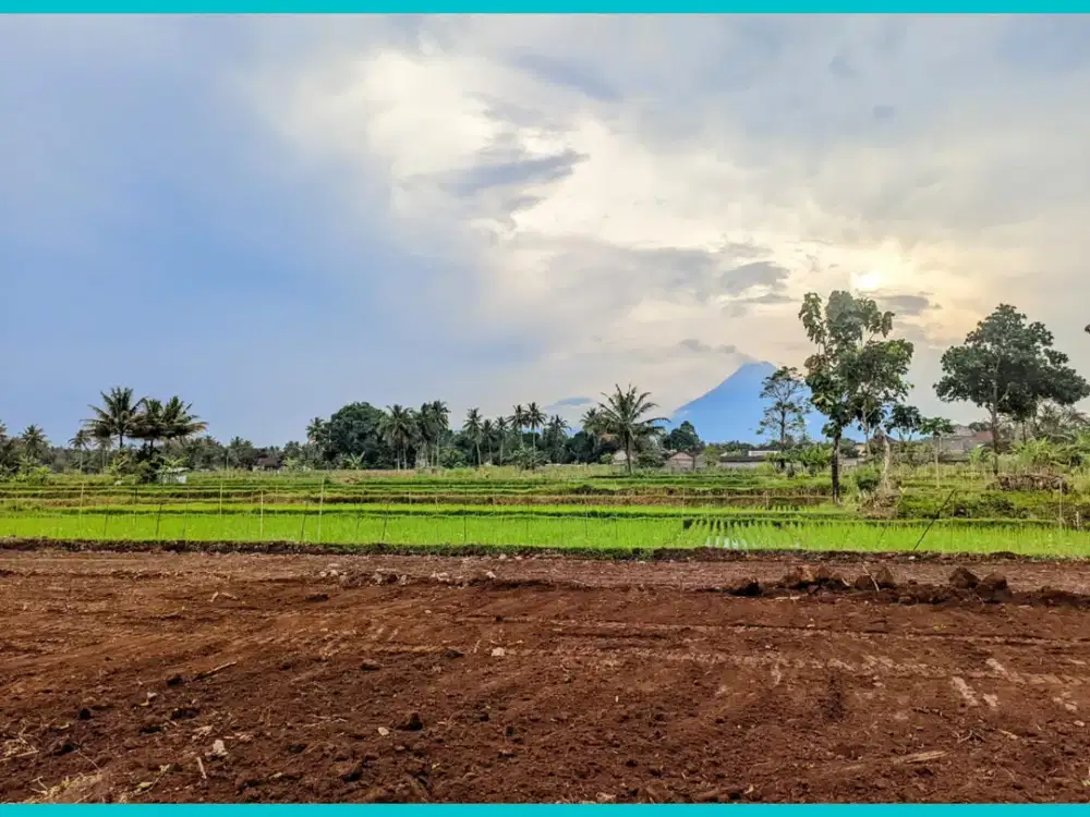 Tanah pingir Sawah Cocok Hunian Slepas Pensiun