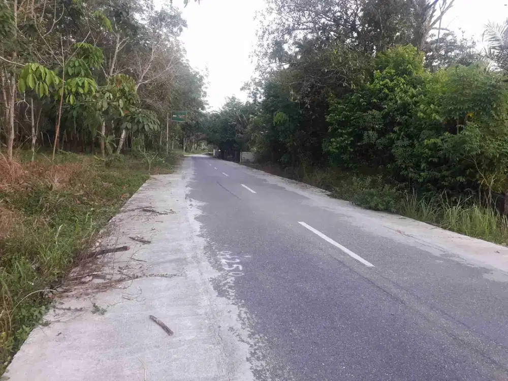 Tanah tepi aspal di jl seroja kulim bisa bayar bertahap