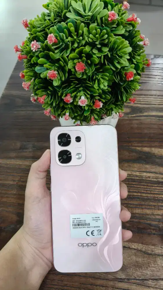 New Oppo A6 pro