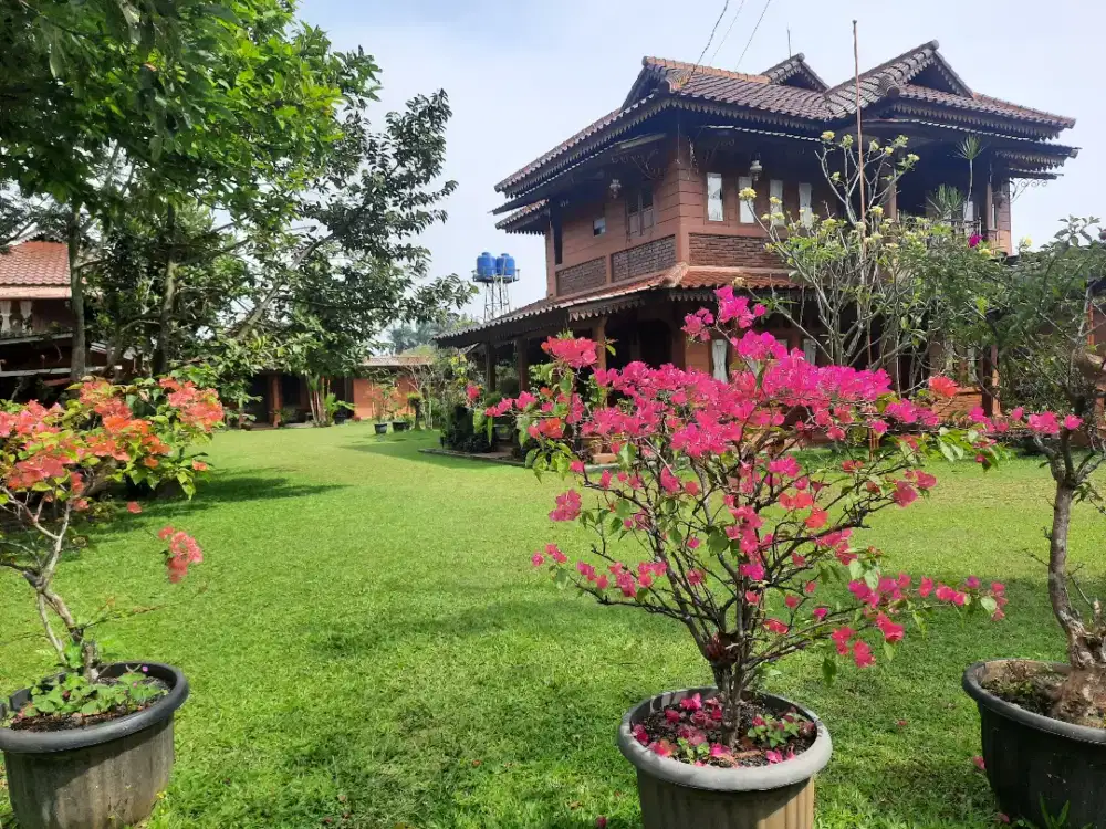 Jual Murah 3 unit rumah/villa indah dalam luas tanah 1.565 m²
