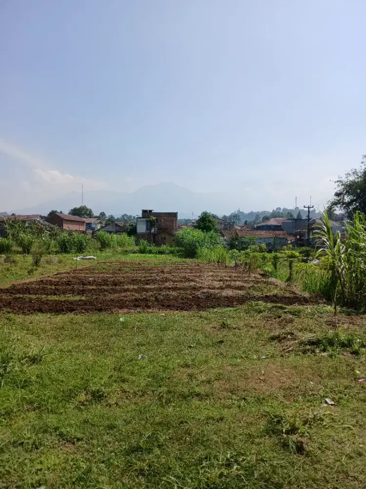 Tanah produktif strategis