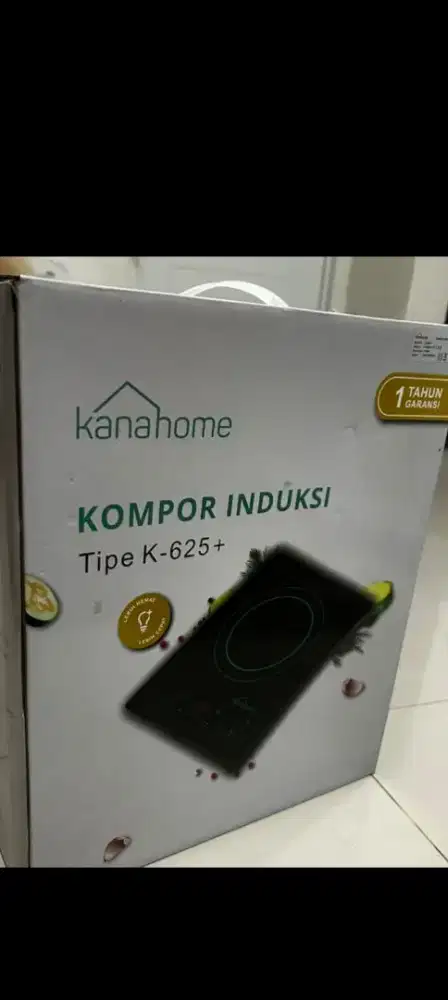 Kompor listrik baru