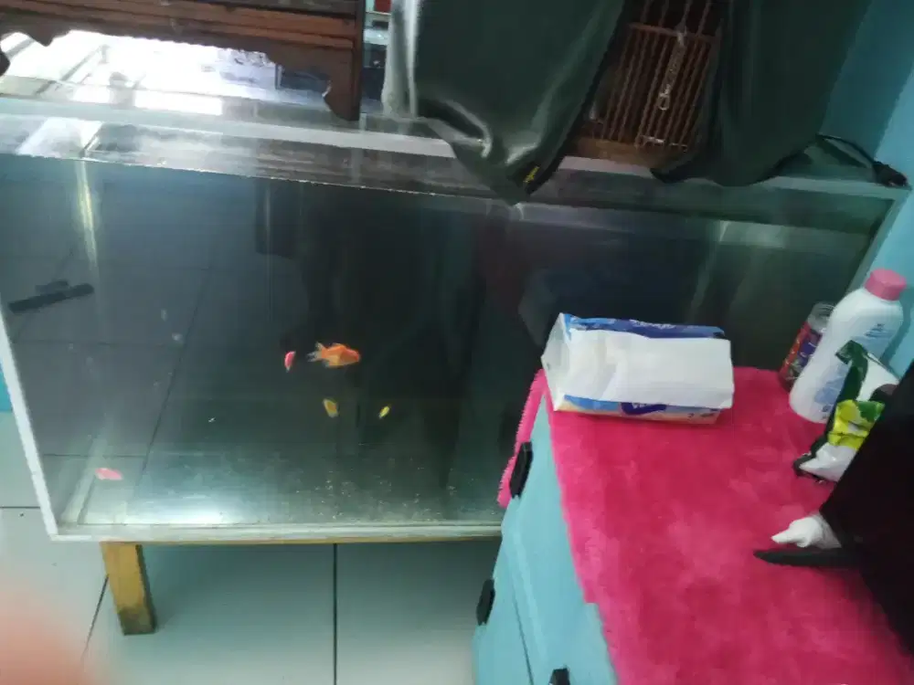 Aquarium besar uk panjang 1m * 0.75 m