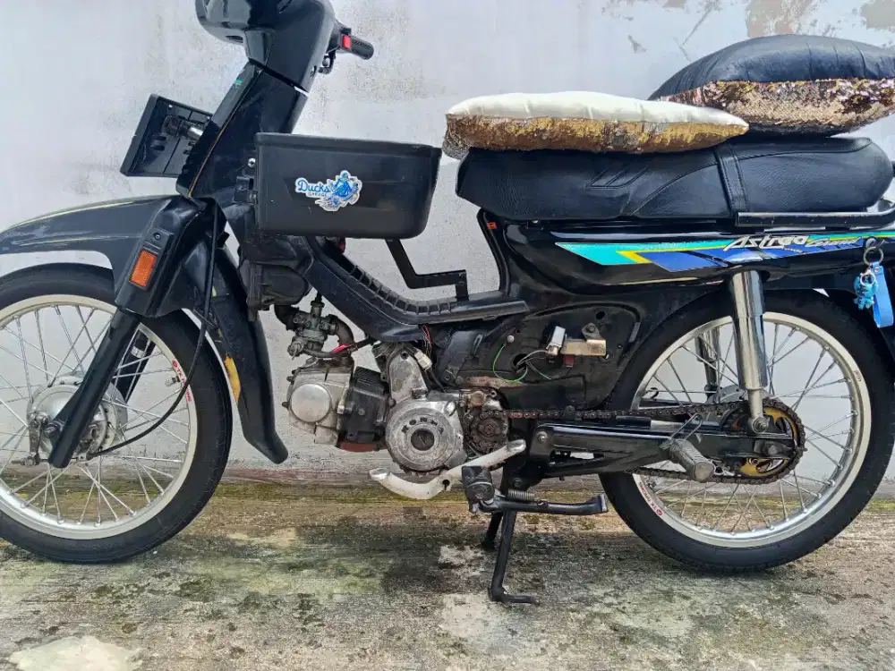 Astrea grand bulus 1993