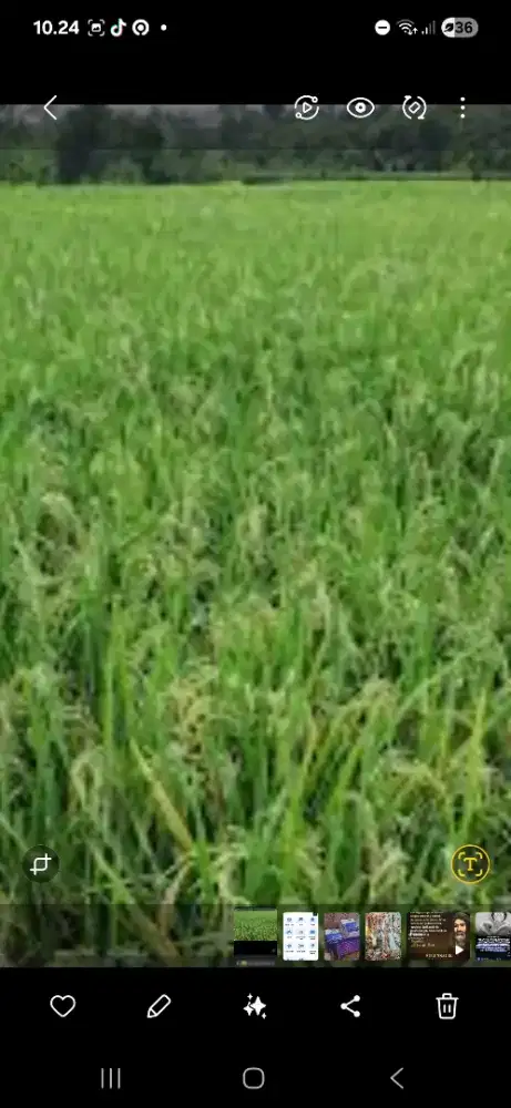 Dijual tanah di Desa Cijagra Kec Paseh Kab Bandung
