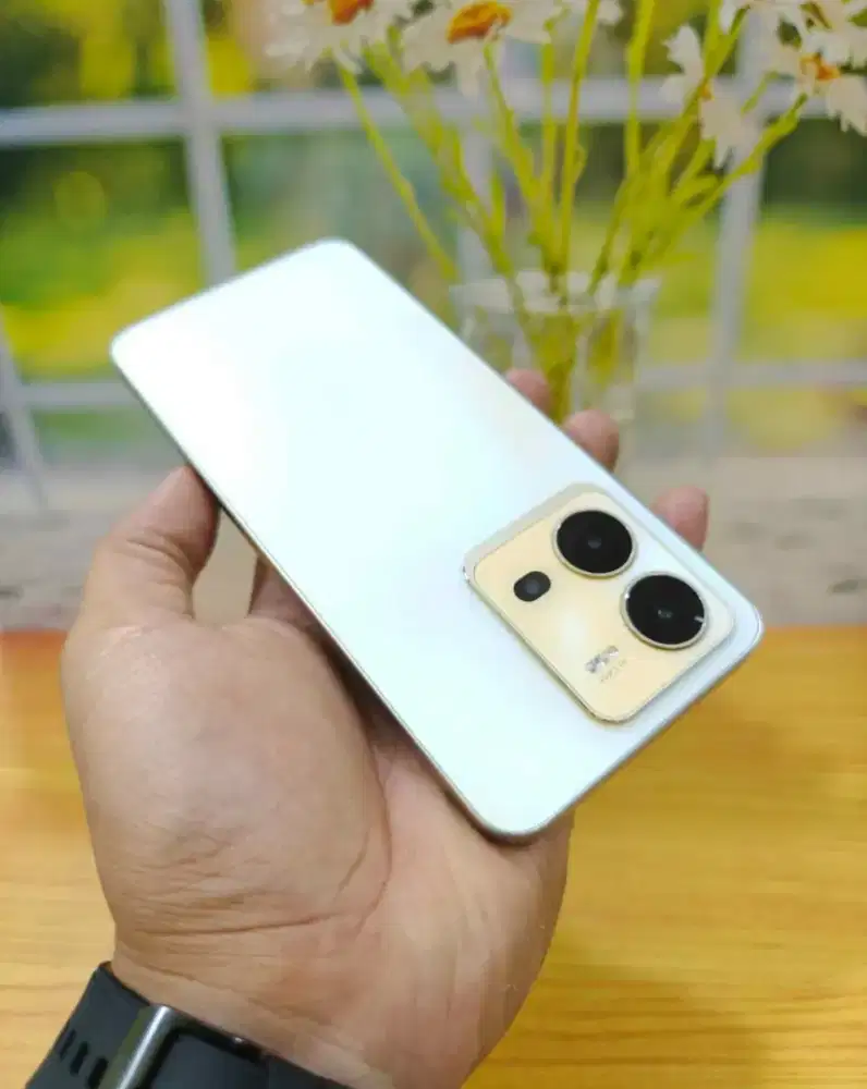 Jual Vivo v25e ram 12