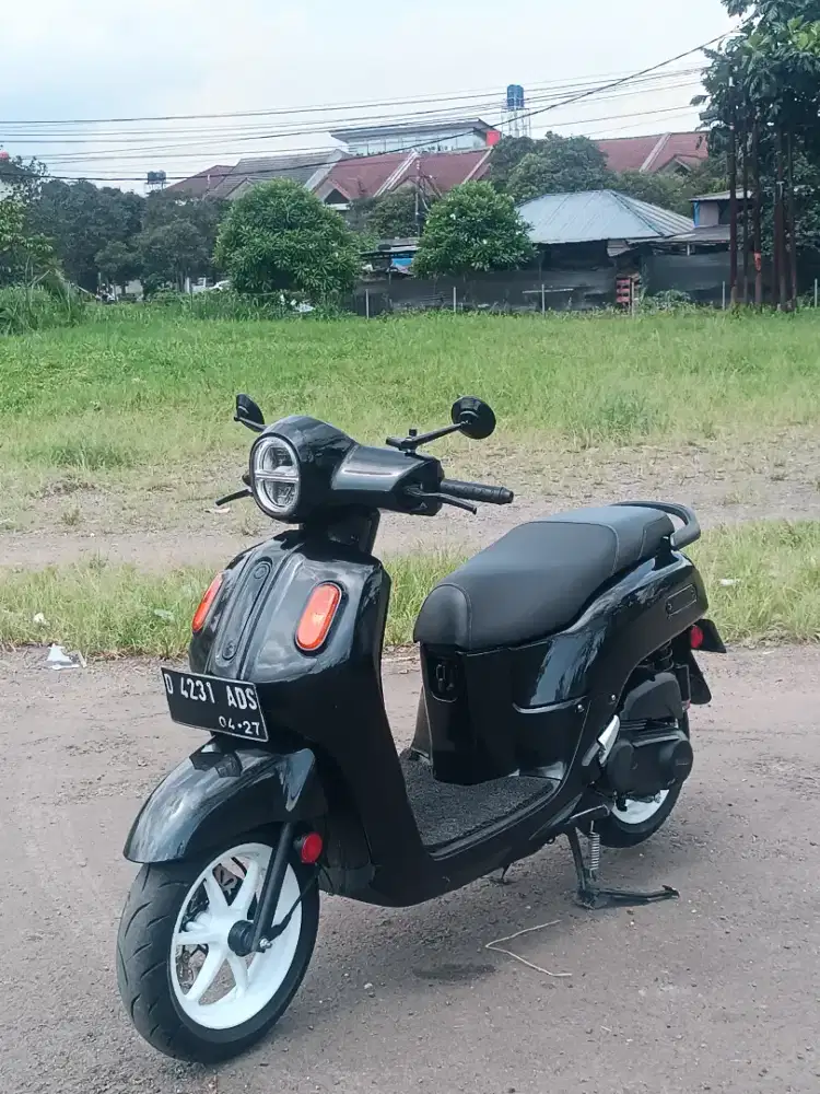 Fazzio neo keyles 2022