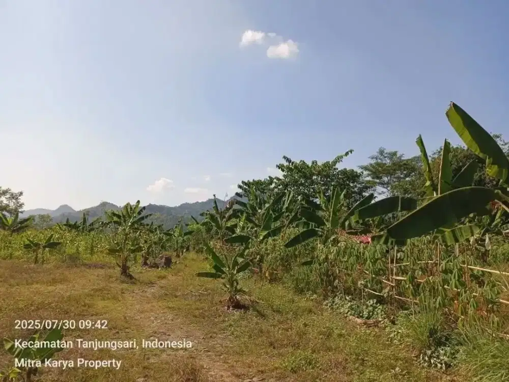 TANAH VIEW BAGUS DI Jl TRANSYOGI SIRNARASA TANJUNGSARI BOGOR