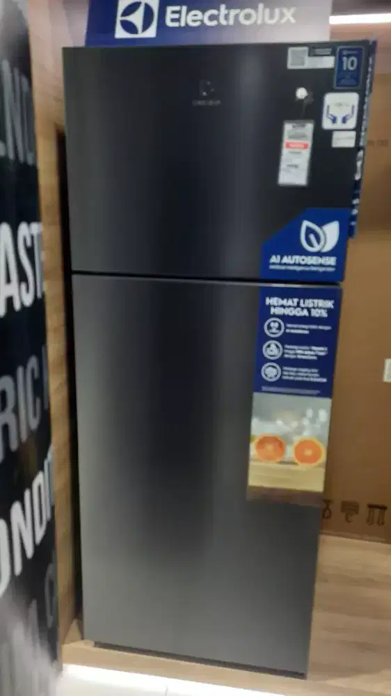 Electrolux Refrigenerator 2D 431L